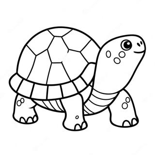 Page A Colorier De Mignonne Petite Tortue 33062-17326