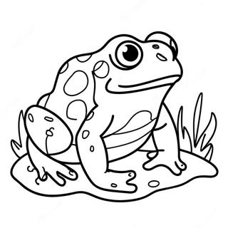 Page A Colorier De Crapaud 331-268