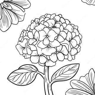 Page A Colorier Fleur Dhydrangea 36183-30176