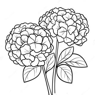 Page A Colorier Beau Bouquet Dhydrangeas 36184-30181