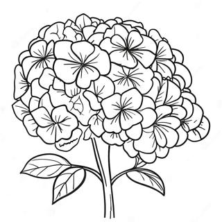 Page A Colorier Beau Bouquet Dhydrangeas 36184-30183