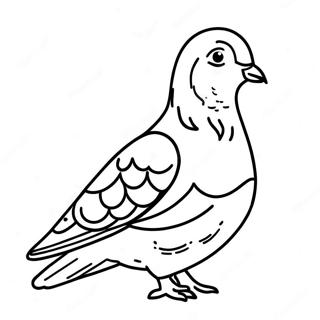 Le Pigeon Pages À Colorier