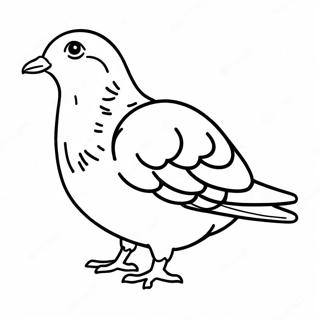 Page A Colorier Dun Pigeon 39057-32435