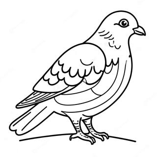 Page A Colorier Dun Pigeon 39057-32436