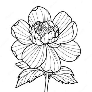 Page A Colorier De La Fleur De Pivoine 39897-33089