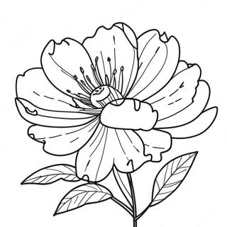 Page A Colorier De La Fleur De Pivoine 39897-33091