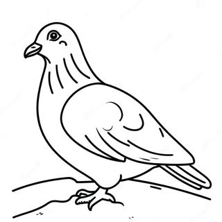 Page A Colorier Pigeon 39907-33099