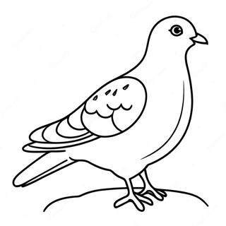 Page A Colorier Pigeon 39907-33100