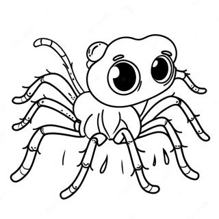 Tarantule Pages À Colorier