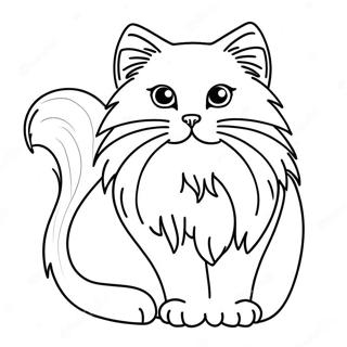 Page A Colorier De Chat Ragdoll Duveteux 41019-33982