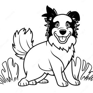 Page A Colorier Border Collie Joueur 43803-36439