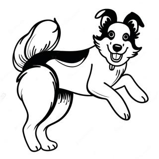 Page A Colorier Border Collie Joueur 43803-36440