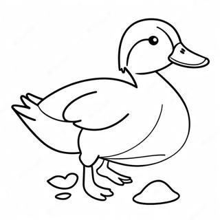 Page A Colorier Du Canard Colvert 45072-37471