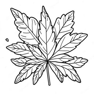 Page A Colorier De Feuille De Pot 46073-38376