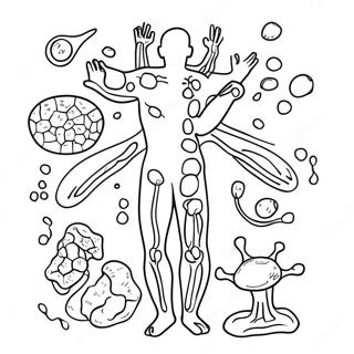 Page A Colorier Du Diagramme Du Systeme Immunitaire 46263-38530