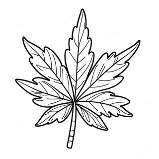 Page A Colorier Feuille De Cannabis Ambiance Detente 4702-3783