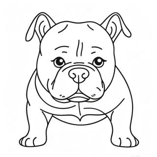 Page A Colorier American Bully 47604-39586