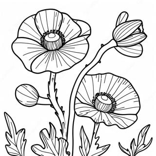 Page A Colorier Fleur De Coquelicot 48054-39945