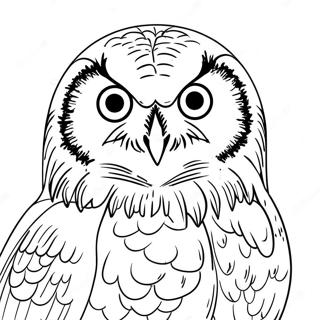 Page A Colorier Hibou Des Neiges 48544-40331