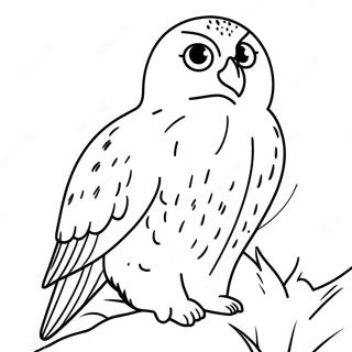 Page A Colorier Hibou Des Neiges 48544-40332