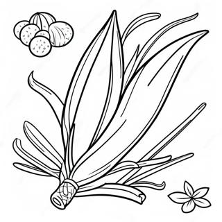 Page A Colorier Coloree De Lulav Et Etrog 49865-41594