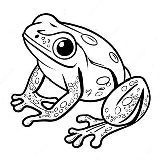 Page A Colorier De La Grenouille Dart Empoisonnee 50544-42127