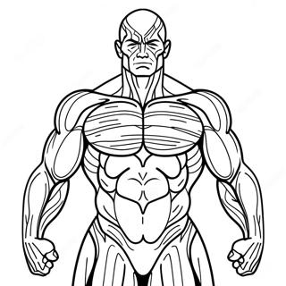 Page A Colorier De Lanatomie Musculaire 50964-42454