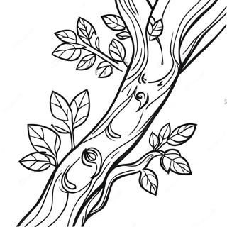 Branche D'arbre Pages À Colorier