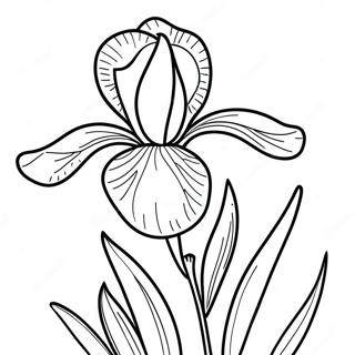 Page A Colorier De Belle Fleur Diris 52607-43758