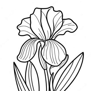 Page A Colorier De Belle Fleur Diris 52607-43760