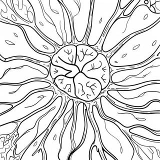 Page A Colorier Des Neurones Colores Du Cerveau 53368-44372