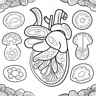 Page A Colorier Des Organes Digestifs Colores 53639-44716