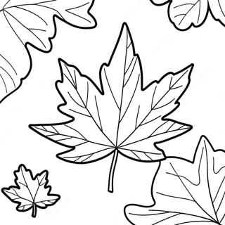 Page A Colorier De Feuille Derable Du Vermont 53699-44754