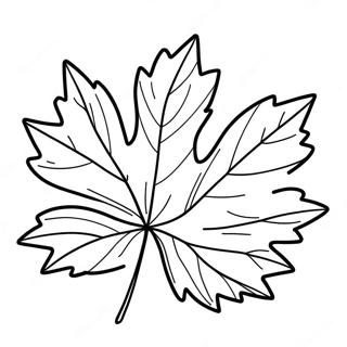 Page A Colorier De Feuille Derable Du Vermont 53699-44756