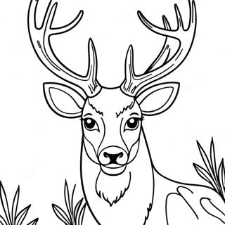 Page A Colorier Tete De Cerf 54370-45280