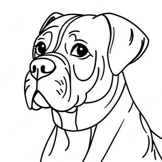 Page A Colorier De Chien Cane Corso 55211-45935