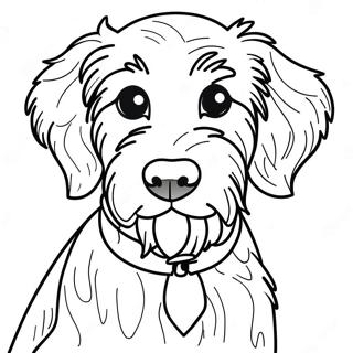 Aussiedoodle Pages À Colorier