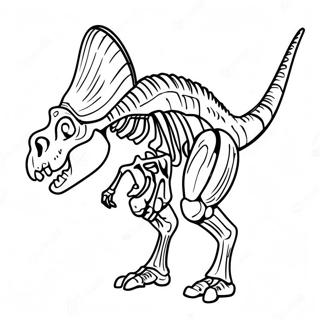 Page A Colorier Squelette De Dinosaure Radiographique 56122-46658