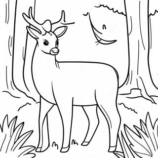 Page A Colorier Cerf A Queue Blanche Dans La Foret 59336-49266