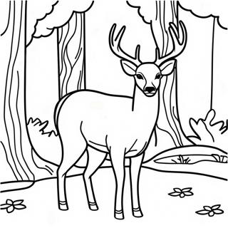 Page A Colorier Cerf A Queue Blanche Dans La Foret 59336-49267