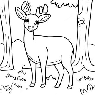 Page A Colorier Cerf A Queue Blanche Dans La Foret 59336-49268