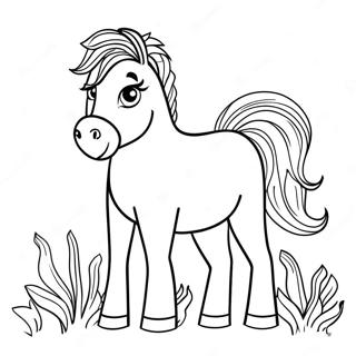 Poney Shetland Page A Colorier 60336-50056