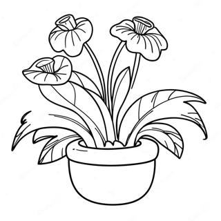 Page A Colorier Plante Audrey Ii 60957-50548