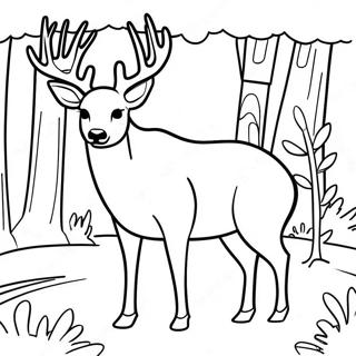 Page A Colorier Dun Cerf Mulet Dans Une Foret 61836-51247