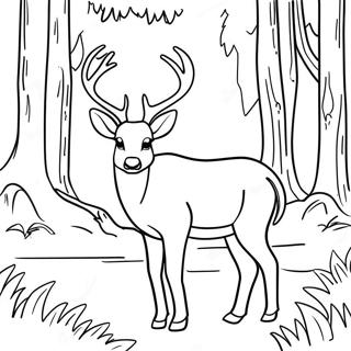 Page A Colorier Dun Cerf Mulet Dans Une Foret 61836-51248