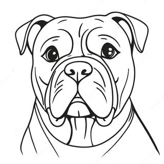 Page A Colorier De Bulldog Americain 62066-51434