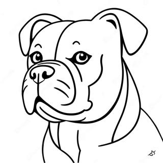 Page A Colorier De Bulldog Americain 62066-51436