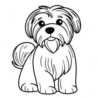 Page A Colorier De Chien Havanese 62267-51600