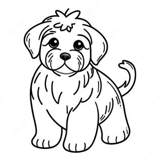 Page A Colorier De Chiot Havanese Mignon 62268-51584