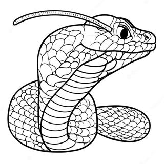 Page A Colorier Un Serpent A Sonnette 63219-52322